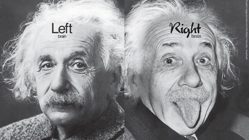 爱因斯坦的大脑有何不同？