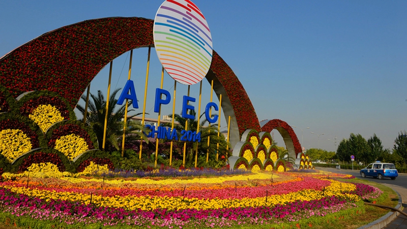 APEC的那些花儿，你们冷吗？的头图