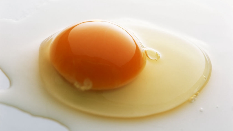 鸡蛋壳的颜色跟营养有关吗？