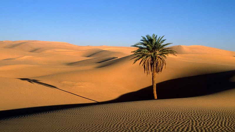 很久之前，撒哈拉沙漠还是片绿洲？