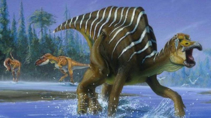 7000万年前化石中疑现“恐龙DNA”恐龙真的能够复活吗？