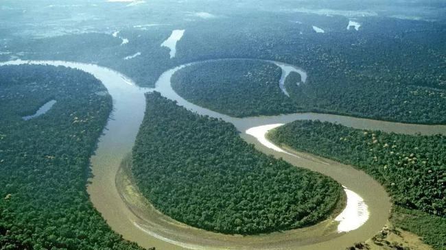 亚马逊河有多野？为什么至今没有一座大桥敢跨越河流主干？的头图