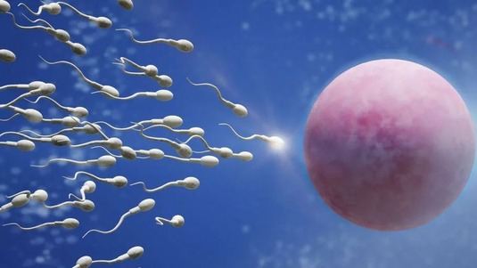 《自然》意外发现：化疗可能造成精子突变，甚至影响后代基因？