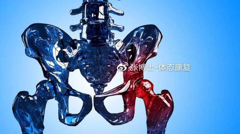 【体态矫正】从承重模式到步态周期，这个动作你必须会做！