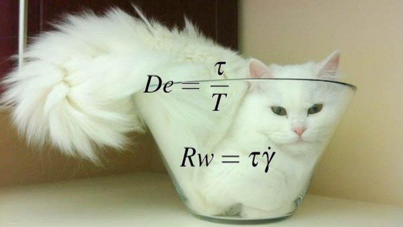 在流变力学中直接说「猫是液体」正确吗？