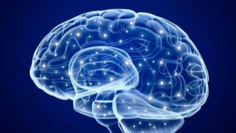 中国人的智商世界前五，可为啥顶尖科学家的数量比不上西方国家？