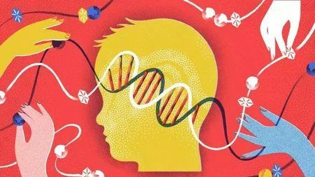 中国科学家再次领先！率先将新一代基因编辑技术应用于人类胚胎