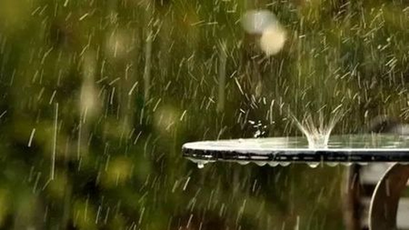 雨也有味道吗？究竟是什么味道？