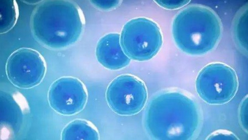 新研究：生物相容的纳米激光器可在活体组织中“施展才华”