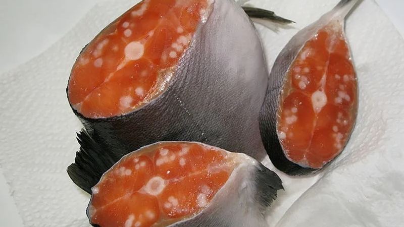 日本要强排核污水，以后哪里的鱼才可以吃？