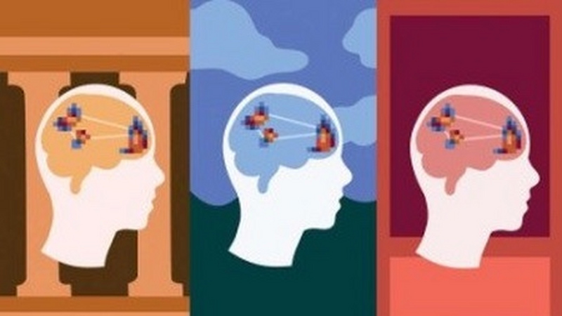 美丽的事物，在我们大脑中存在着普遍的编码吗？