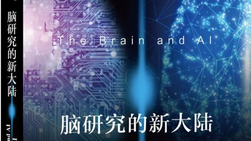 意识是脑中涌现？一场关于人脑、智能和意识的深入对话｜AI那厮