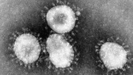 为什么新冠病毒两年多了还在持续传播，而当年的非典却自动消失？