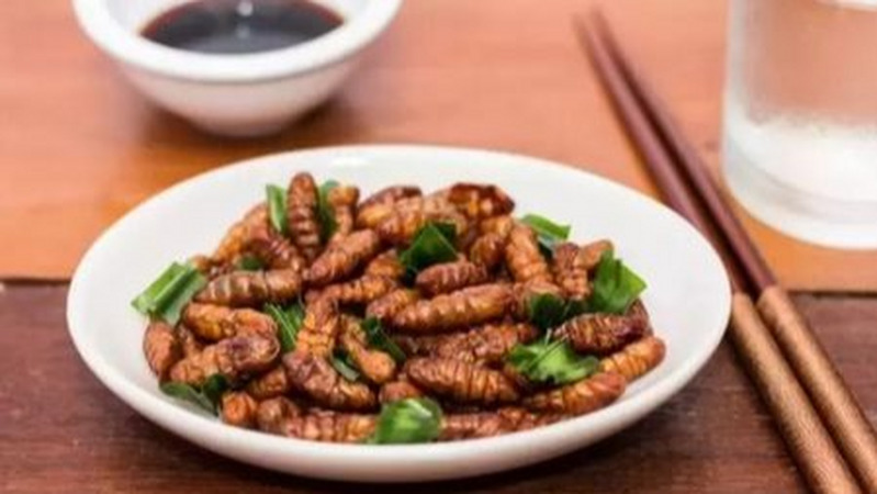 研究显示：昆虫堪比鲜橙汁，变身“抗氧化剂之王”