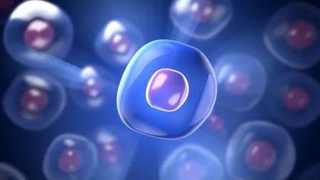 为了愈合伤口，成熟细胞会变得像胚胎细胞？