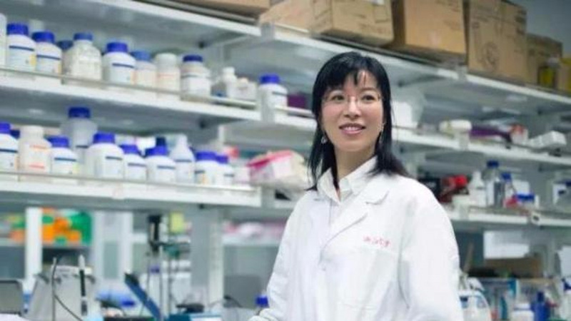 为了对抗抑郁症，科学家们是怎么研究大脑的？