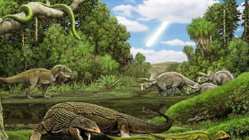 前四次生物大灭绝事件中都有什么生物灭绝？