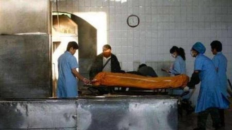 蘑菇套装死后创造生命，环保且可以培育可食用蘑菇，你会尝试吗？