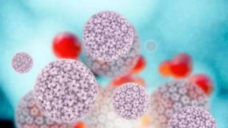 人乳头状瘤病毒（HPV）是什么？