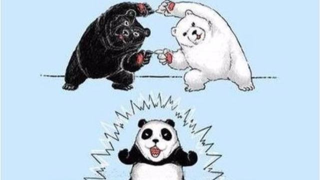 四体不勤的熊猫存在800万年而不灭绝，这违背自然规律了吗？