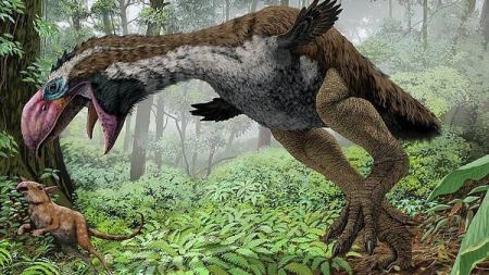 亿万年前凶猛的古鸟类是什么？它们真的可以捕食大型哺乳动物吗？