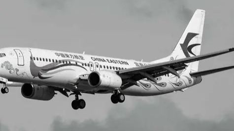 东航失事航班机型是波音737，不是已经禁飞了吗？的头图
