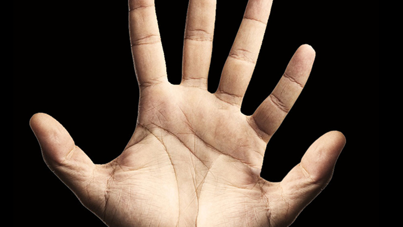 如果人类都进化出六根手指会怎样？