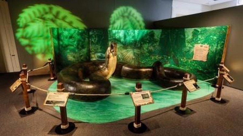 跨越时空的史前王者对决：泰坦巨蟒和霸王龙、剑齿虎、短面熊