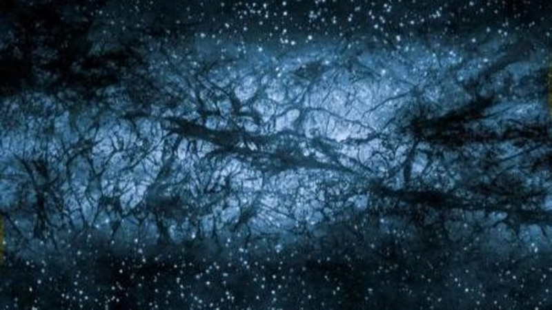 杨振宁到底有多厉害？据说在科学史上的地位，他能排到第四？