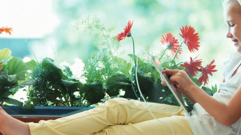 植物没有耳朵，它们能听懂音乐吗？