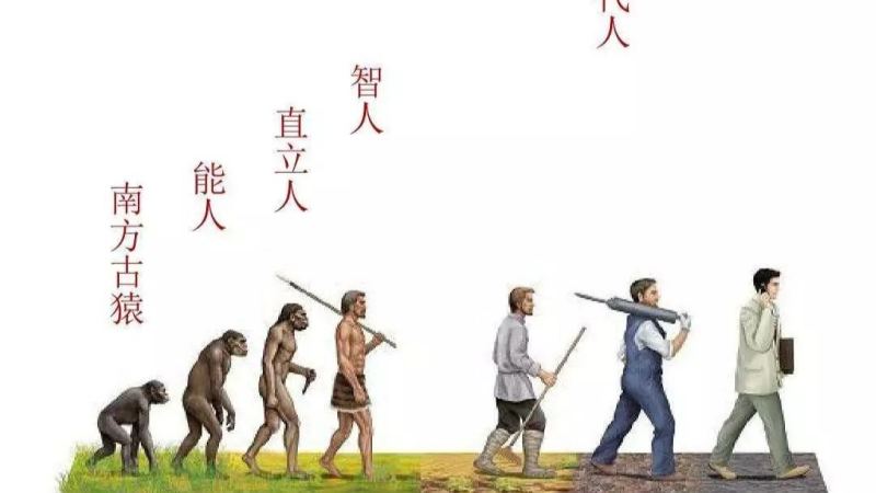 人类进化过程中有哪些不完全的地方？