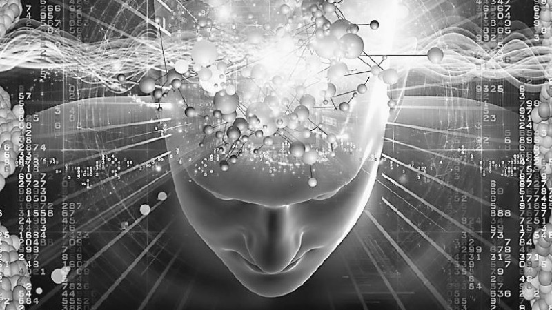 人类进化得越来越强健、聪明！但什么才是我们身体的极限？
