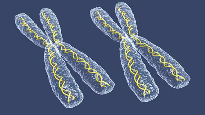 如果将人体中所有的DNA拉直，总长度会有多长？
