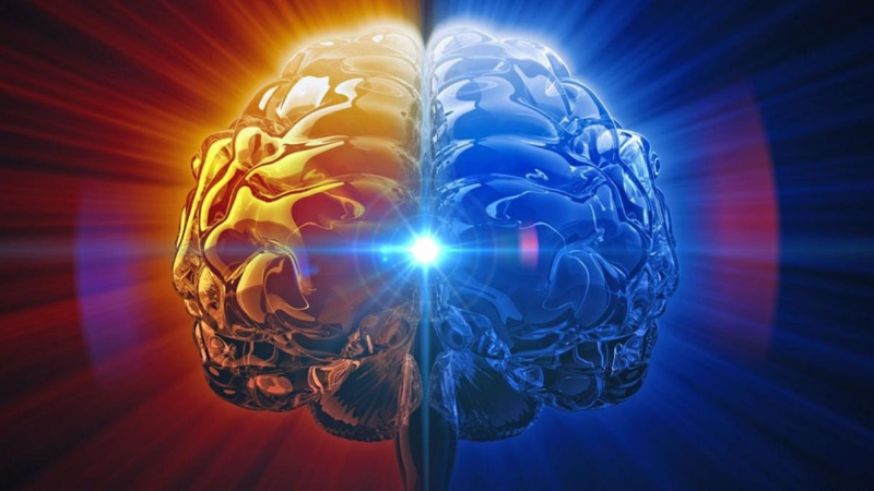 人类大脑的记忆容量有多少？