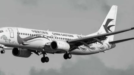 东航失事航班机型是波音737，不是已经禁飞了吗？